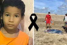 artigo 75cf3a18f06d3259a10385d8 1140x630 1.webp