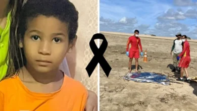 artigo 75cf3a18f06d3259a10385d8 1140x630 1.webp