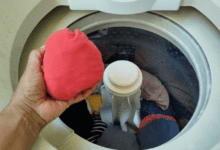 imagem 2025 09 24 233829229 750x430 1