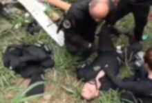 postimg 6903dec67dd2e5132 780x470 1