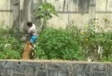 3a5c8ec720a1ec5cdce12430