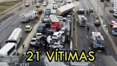 Design sem nome 33