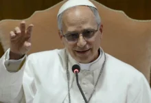 artigo 510295bcdc2713290d9b9952.webp