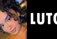 artigo 84246b178af572fa577c1607.webp