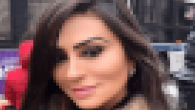 imagem 2025 11 09 234734772 750x430 1