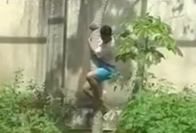 Leoa que matou homem em parque na Paraiba 1