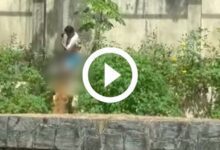 leoa ataca visitante 2 1024x538 1