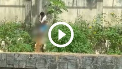 leoa ataca visitante 2 1024x538 1