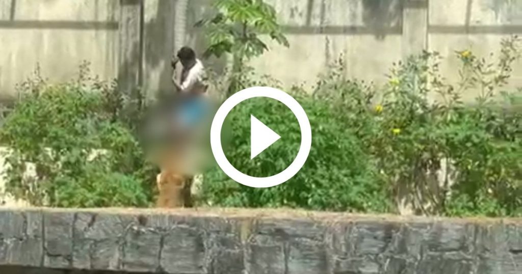 Este Detalhe no C0rpo do Homem Mort0 Por Leoa É De Partir o…Ver mais