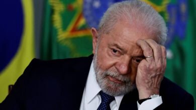 lula