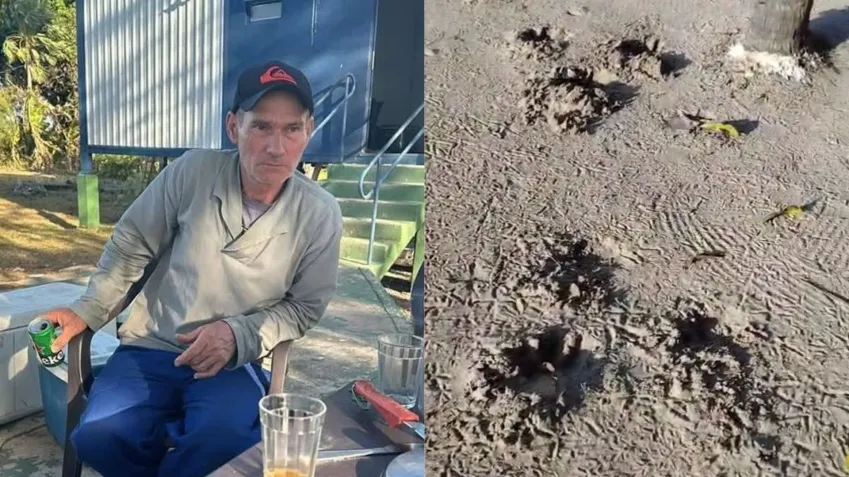 Meses Após O Ocorrido, Vaz4m Fotos De Homem Que Foi M0rto Por Onça Pintada No Pantanal “As Fotos São… Ver Mais