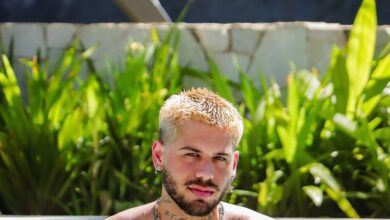 BACCI SITE 2026 01 17T204537.979