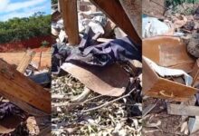 BACCI SITE 2026 01 27T174823.526