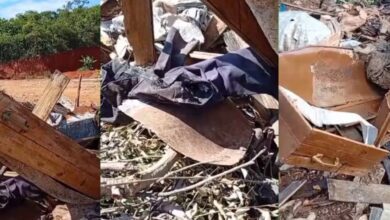 BACCI SITE 2026 01 27T174823.526