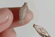 Design sem nome 2026 01 21T195421.433