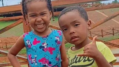 artigo 33cfb8536235c96655c07cec.webp