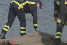 artigo e25de37970223e791930101c.webp