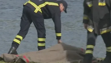 artigo e25de37970223e791930101c.webp