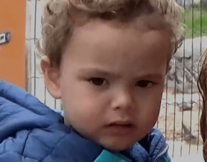 Bebê de 1 ano m0rde e m4ta c0bra, mas o que os pais viram na b0ca dele assust… Ver mais