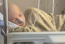 isabel veloso internada 9fb0bc e1764609501685