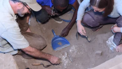 pira funeraria 3 e1767720633328