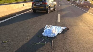 wwwaa e1769029830462