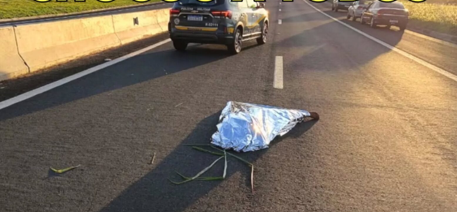 Mulher atr0pelada é dada como m0rta pelo SAMU, deixada na pista e…Ver mais