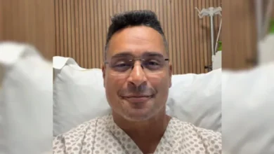 xanddy harmonia.webp