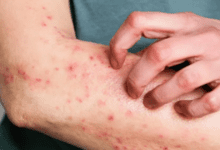 Design sem nome 2026 02 24T145145.946