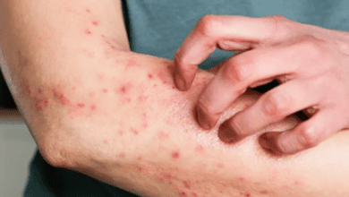 Design sem nome 2026 02 24T145145.946