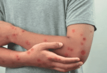 Design sem nome 2026 02 24T145529.408