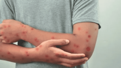 Design sem nome 2026 02 24T145529.408