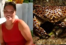 Untitled Project 2026 02 13T081501.040