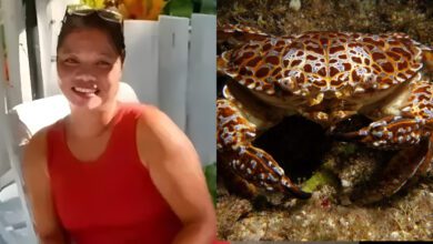 Untitled Project 2026 02 13T081501.040