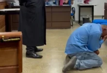 agricultor absolvido chibatadas genrojpg