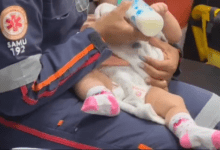 imagem 2025 10 06 184656105