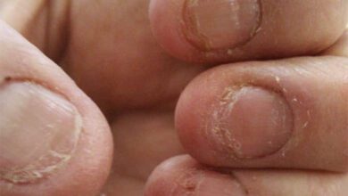 0e010228cc8abe684199b7ff25548bdb