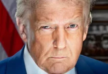 8795a900 0e20 11f0 8331 61229d24cb73.jpg