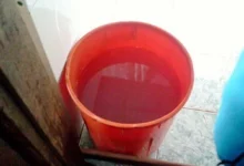 balde bebe sinop 346x260