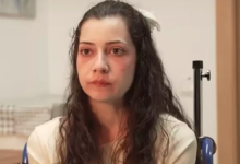 captura de tela 2026 03 26 144319 widexl