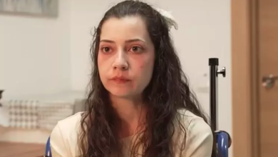 captura de tela 2026 03 26 144319 widexl