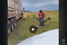 imagem 2026 02 28 085540670 750x430 1