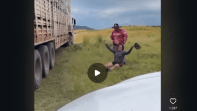 imagem 2026 02 28 085540670 750x430 1