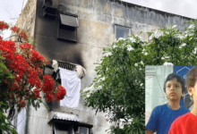 imagem 2026 03 20 130014835 750x430 1