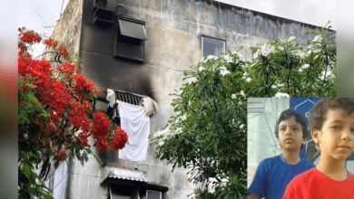 imagem 2026 03 20 130014835 750x430 1