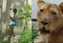 site template grade de fotos 202.jpg