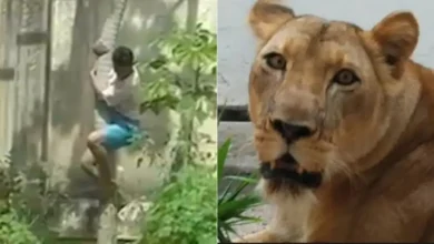 site template grade de fotos 202.jpg