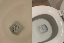 220808145314 split trump notes ripped in toilet 0822