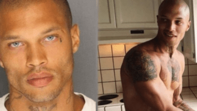 Design sem nome 2026 04 02T100718.602