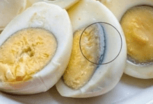 Design sem nome 2026 04 02T193342.379